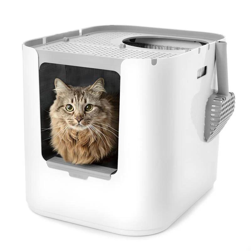Litter Boxes Featured
